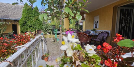 kuća, IRIG, FRUŠKA GORA, VRDNIK, 181m2 na 5 ari