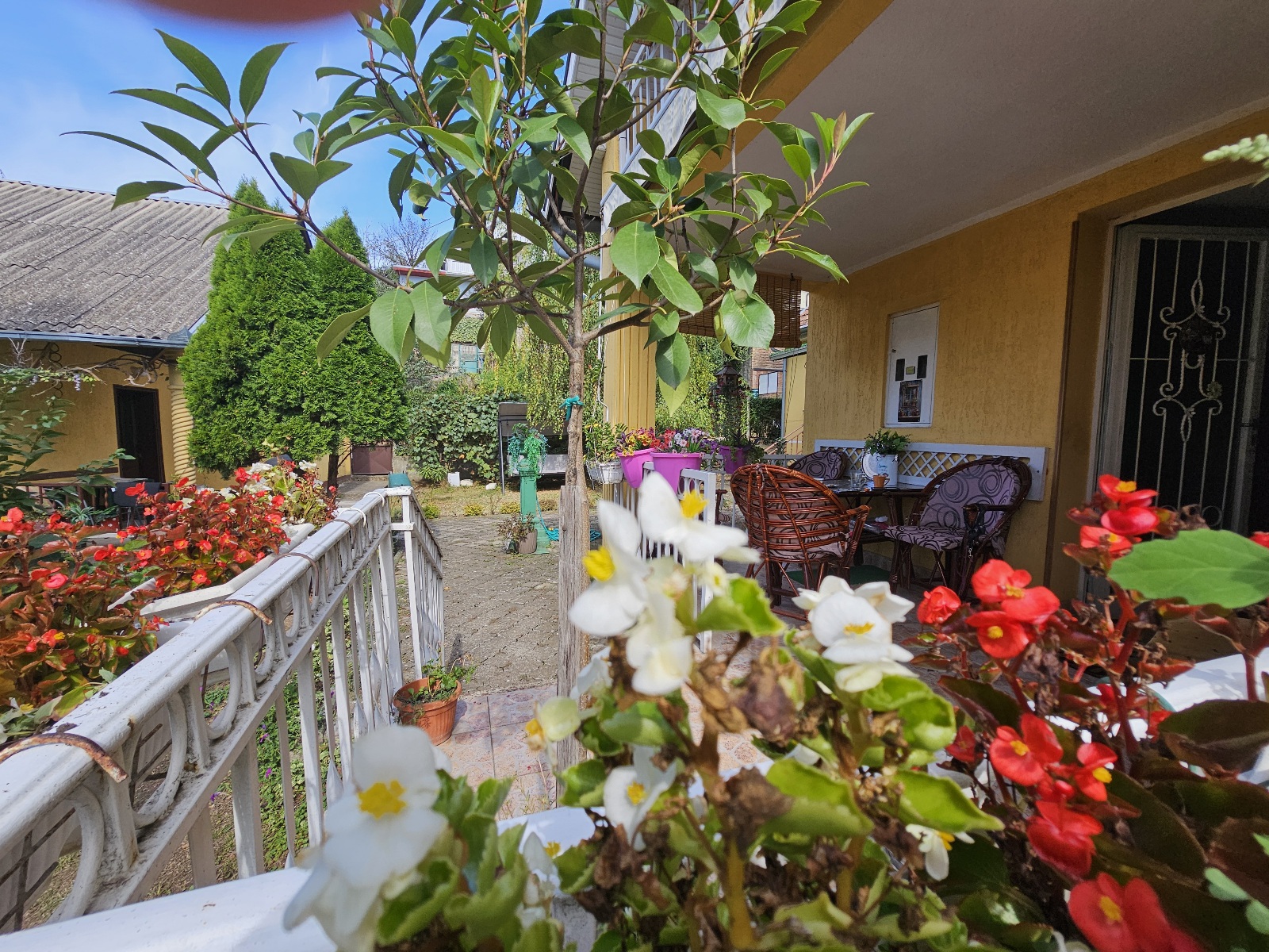 kuća, IRIG, FRUŠKA GORA, VRDNIK, 181m2 na 5 ari