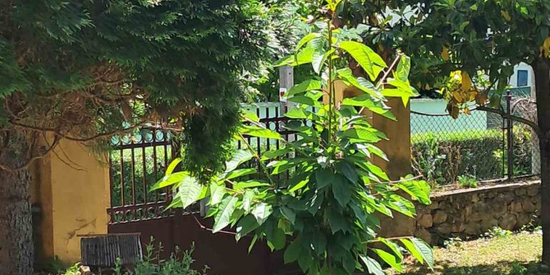 IMG-031285f69c017f8851f4392d3a56716b-V