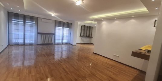 IZUZETAN, PROSTRAN STAN NA SENJAKU SA GARAŽOM, 167M2+22M2